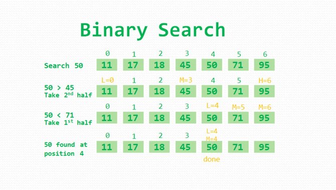 Basics Of The Binary Search Algorithm