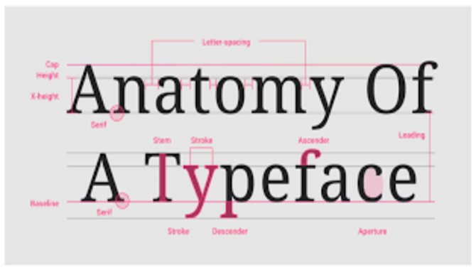 How Do Serif Fonts Work?