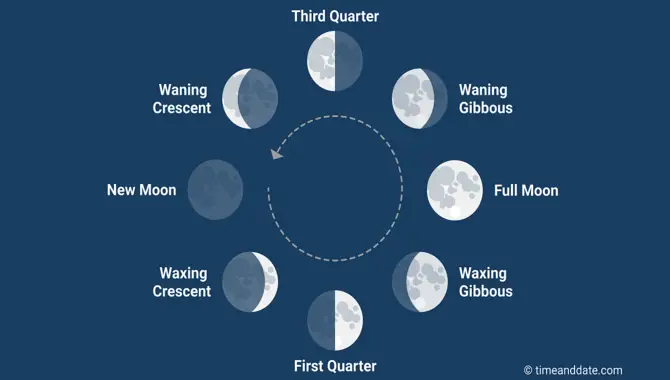 C - For The First Quarter Of The Moon Cycle