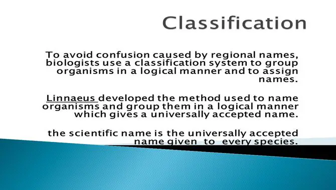 Avoid Similar Classifications.