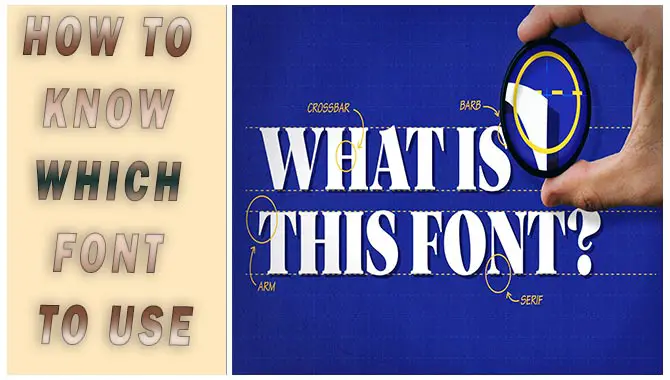 How To Know Which Font To Use