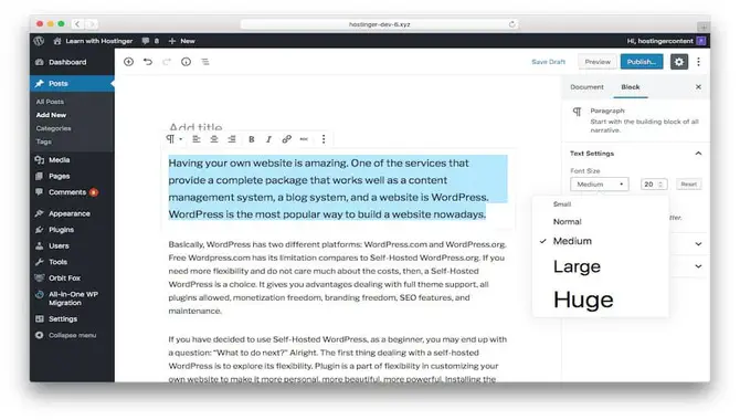 How To Set The Font Size In WordPress