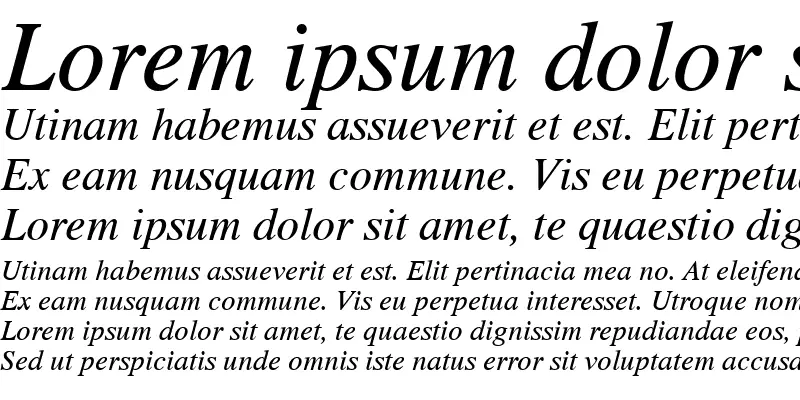 Set The Font Type To "ROMAN" Or "ITALIC."