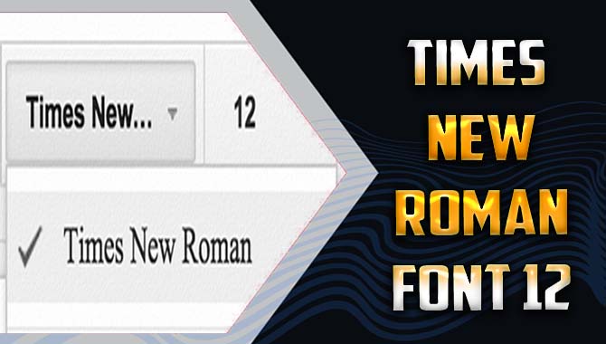New Roman 12 
