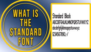 What Is The Standard Font? Explore The Features