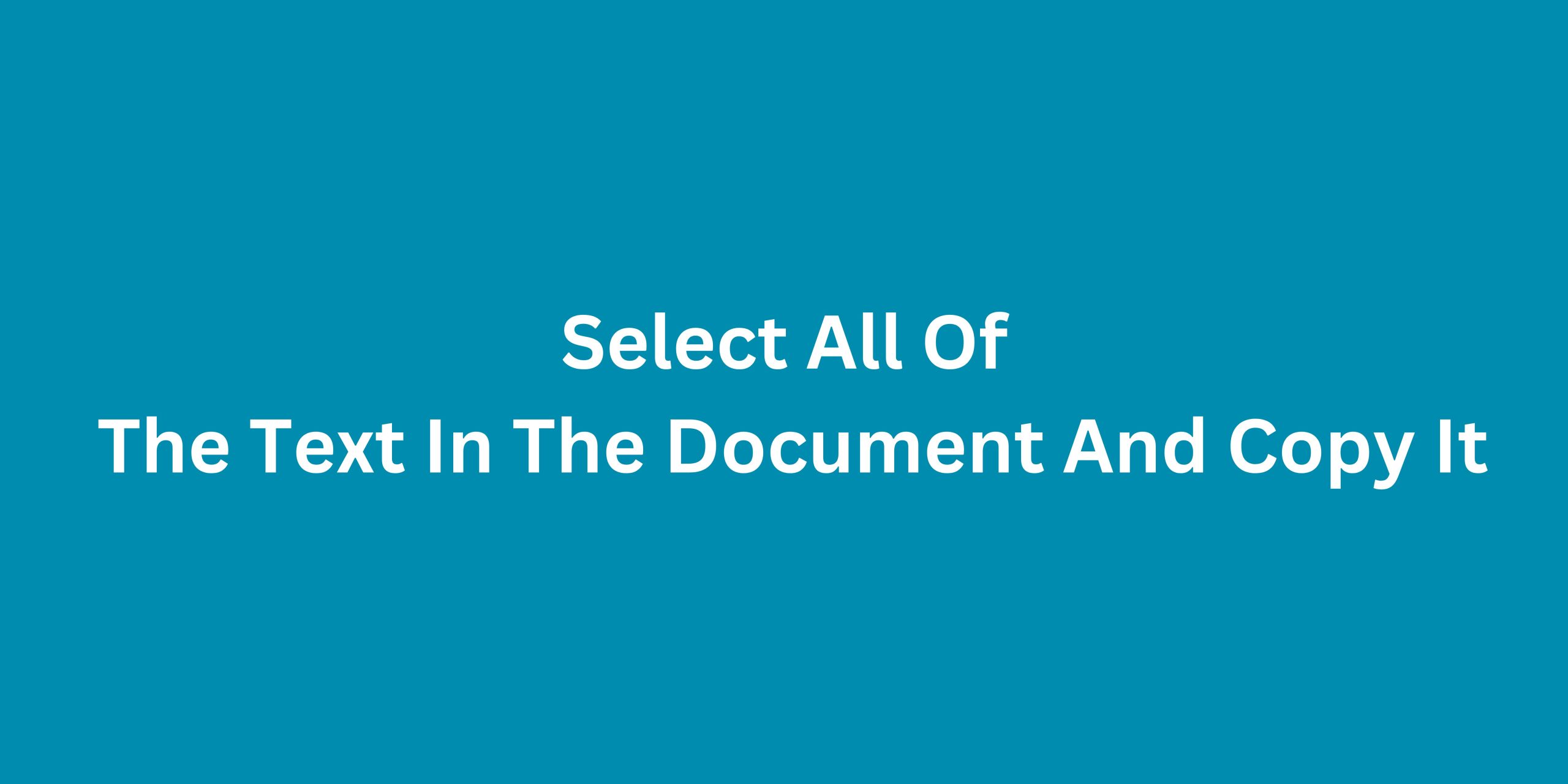 Select All Of The Text In The Document And Copy It