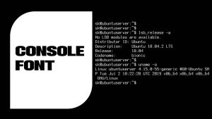 How To Customize Your Text-Only Unix-Like System With A New Console Font