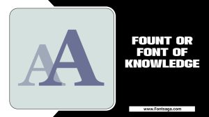 Fount Or Font Of Knowledge – Which Is Correct?