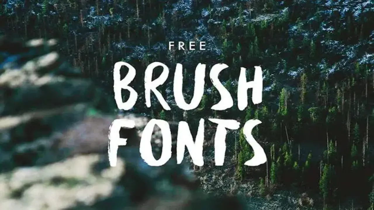 Best Brush Fonts & How To Use Them: Brushed Elegance