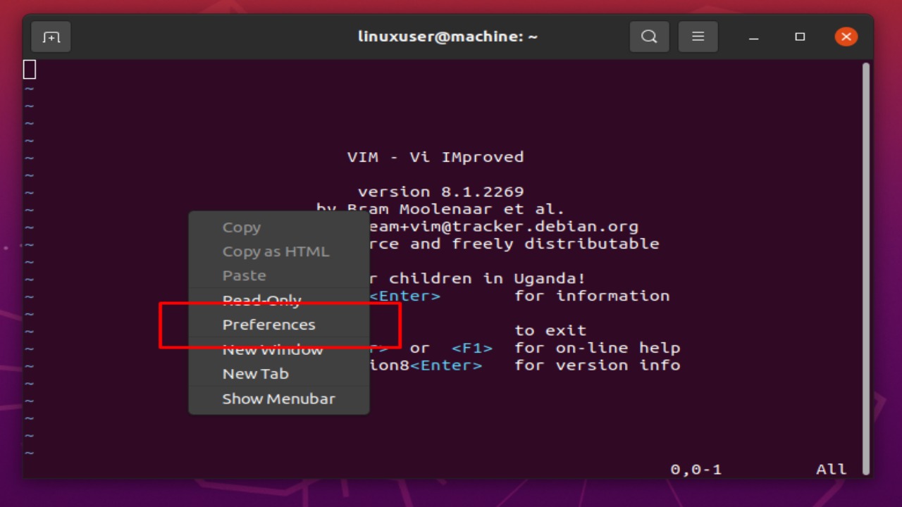 How To Customize Your Vim Font Size Settings