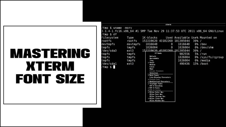 Mastering Xterm Font Size