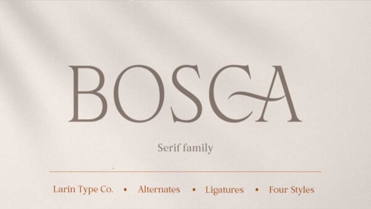 Serif Fonts For A Classic Look