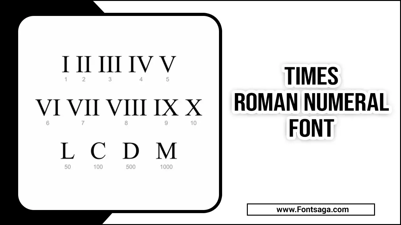 Times Roman Numeral Font