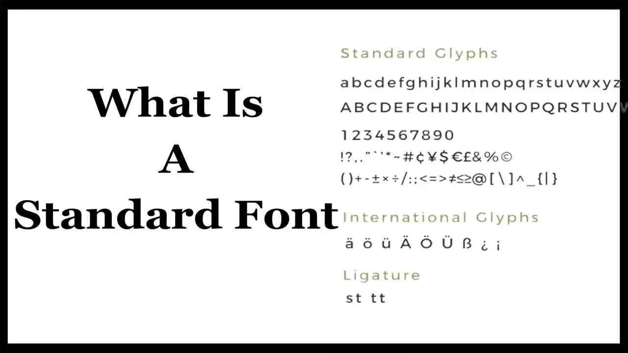 What Is A Standard Font
