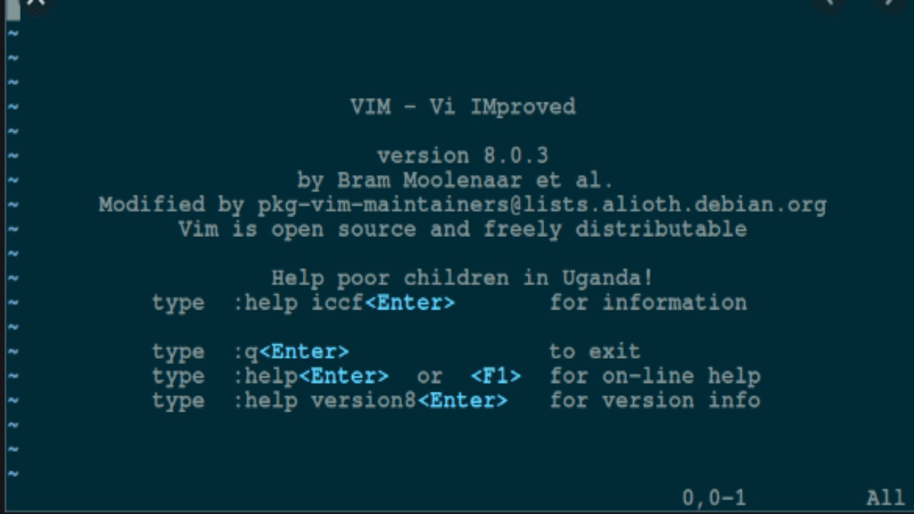 What Is Vim