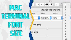 Mac Terminal Font Size – All Details
