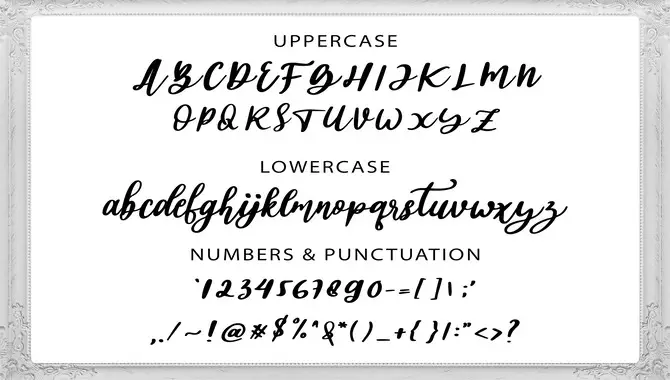 Abigail Font- Characteristics And Features