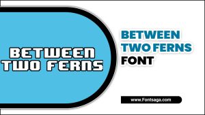 Between Two Ferns Font – Meaning, Types, Source & Uses