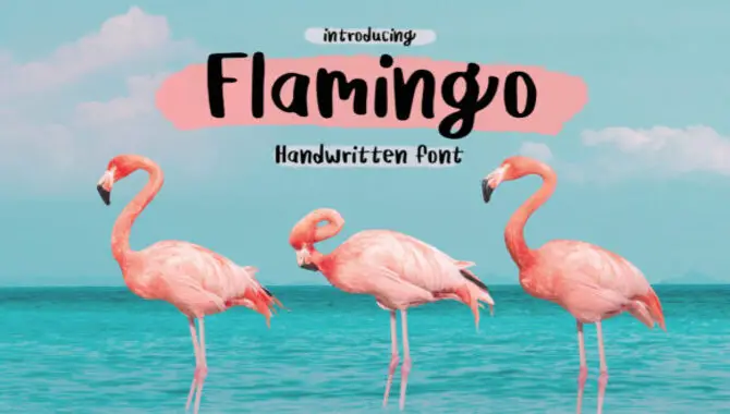 Comparison Of Flamingo With Similar Fonts