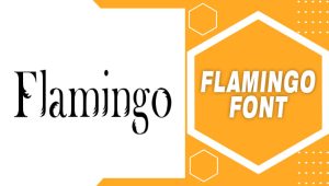 Flamingo Font: The Playful Typeface Taking The Design World By Storm”