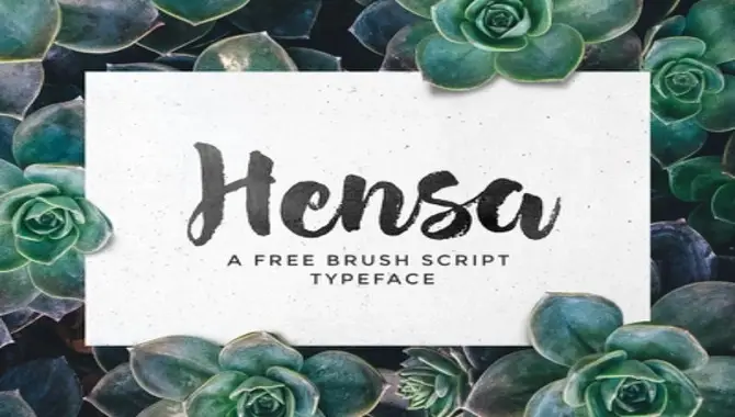Hensa Hand-Painted Brush Script Font