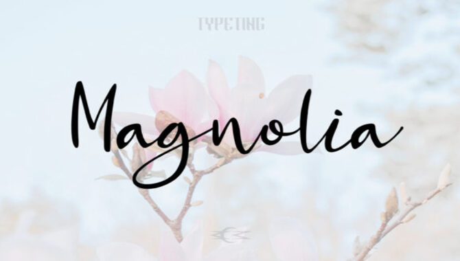 How To Purchase And Install Hey Magnolia Font