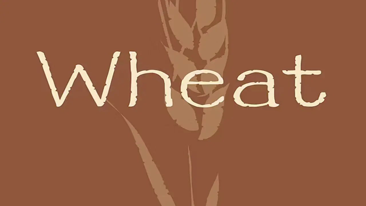 Overview Of Wheatie Font