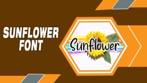 Sunflower Font: A Versatile Typeface For Branding And Marketing