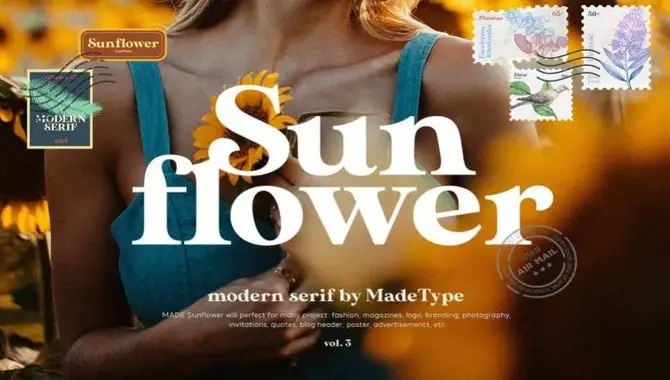 Use Cases Of Sunflower Font