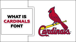 What Is Cardinals Font? – What Font Do The Arizona Cardinals Use?