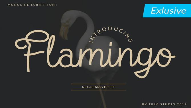 What Is Flamingo Font