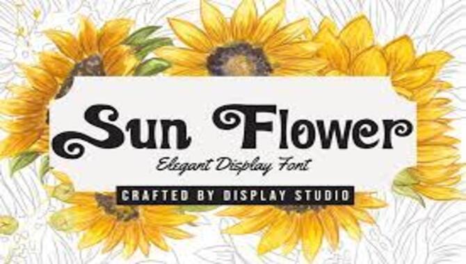 Where To Download Sunflower Font