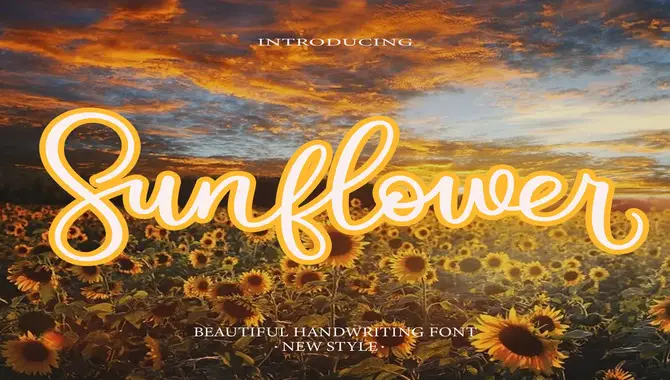 Why Is Sunflower Font Important For Branding And Marketing