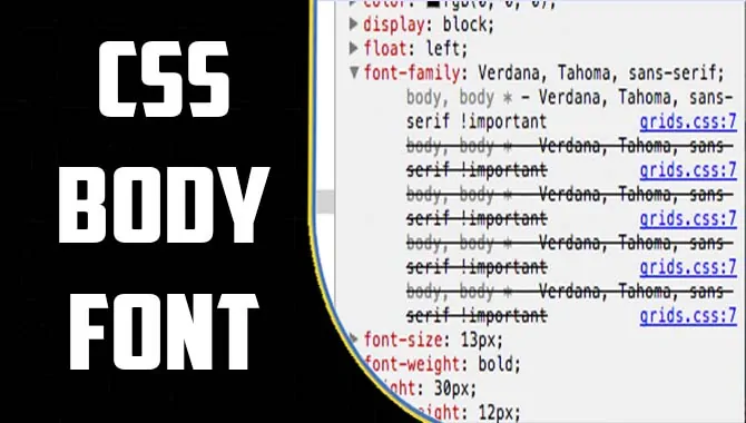 CSS Body Font