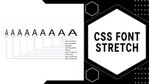 How To Use CSS Font Stretch – Effectively