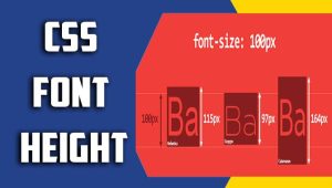 Css Font Height: Everything You Need To Know