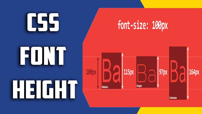 Css Font Height