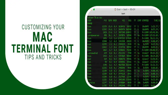 Customizing Your Mac Terminal Font