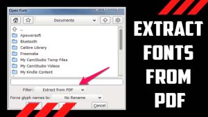 Maximize Your Design: Extract Fonts From PDF