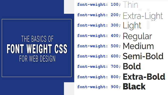 Font Weight CSS