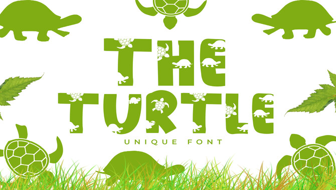 How To Use Turtle Fonts In Design Projects
