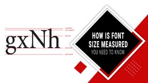 How Is Font Size Measured – You Need To Know.