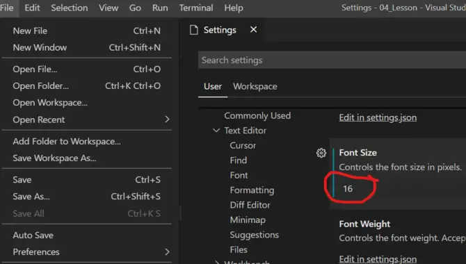 Possible Issues While Changing Font Size In Visual Studio