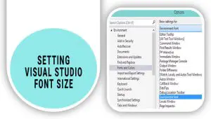 A Quick Guide To Setting Visual Studio Font Size