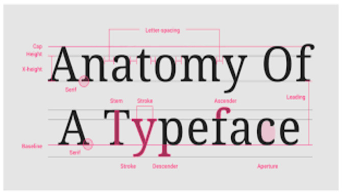 The Impact Of Font Width On Your Italic Font Choice