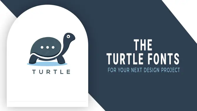 Turtle Fonts for Your Next Design Project