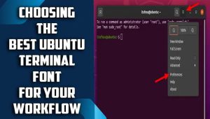 Choosing The Best Ubuntu Terminal Font For Your Workflow:  A Compressive Guide