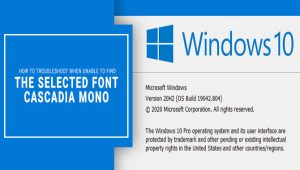 How To Troubleshoot When Unable To Find The Selected Font, Cascadia Mono