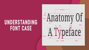 Understanding Font Case: The Simple Explanation