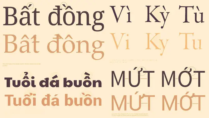 Understanding Vietnam Font
